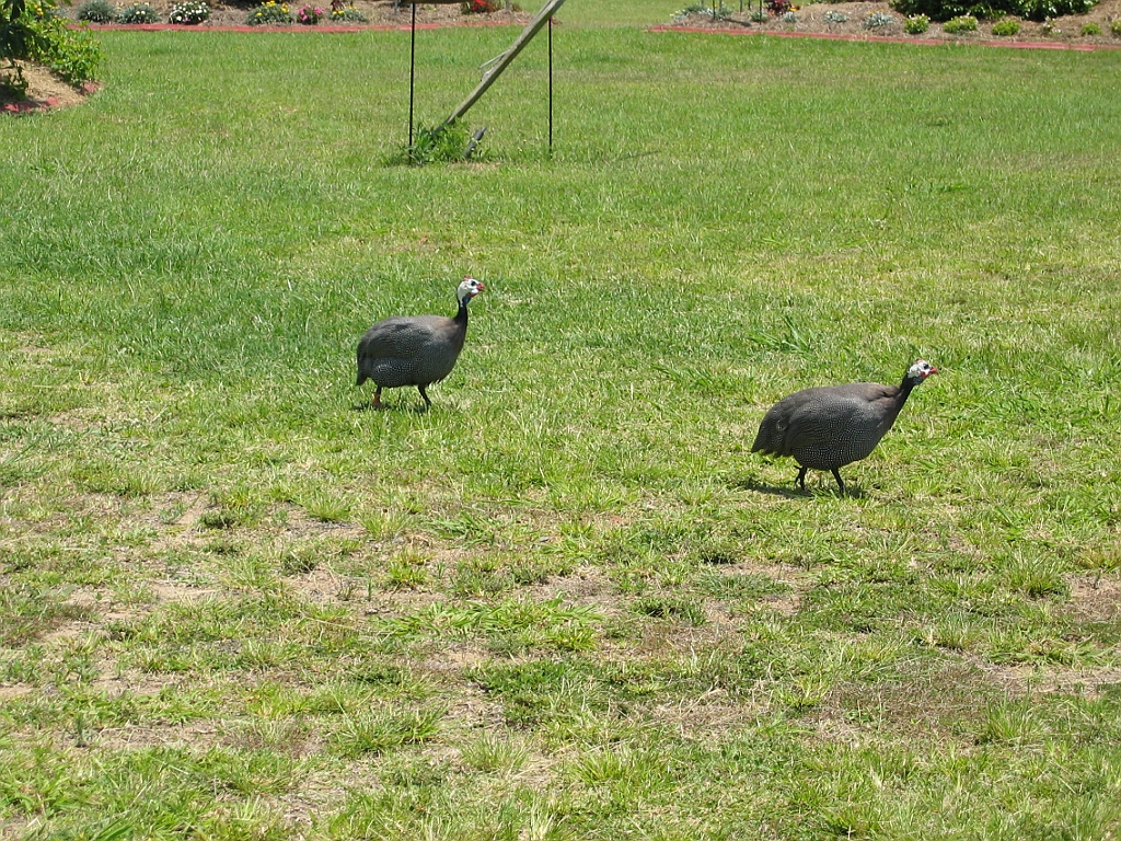 054 Jaques Coffee.jpg